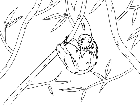 Maned Sloth Coloring Page